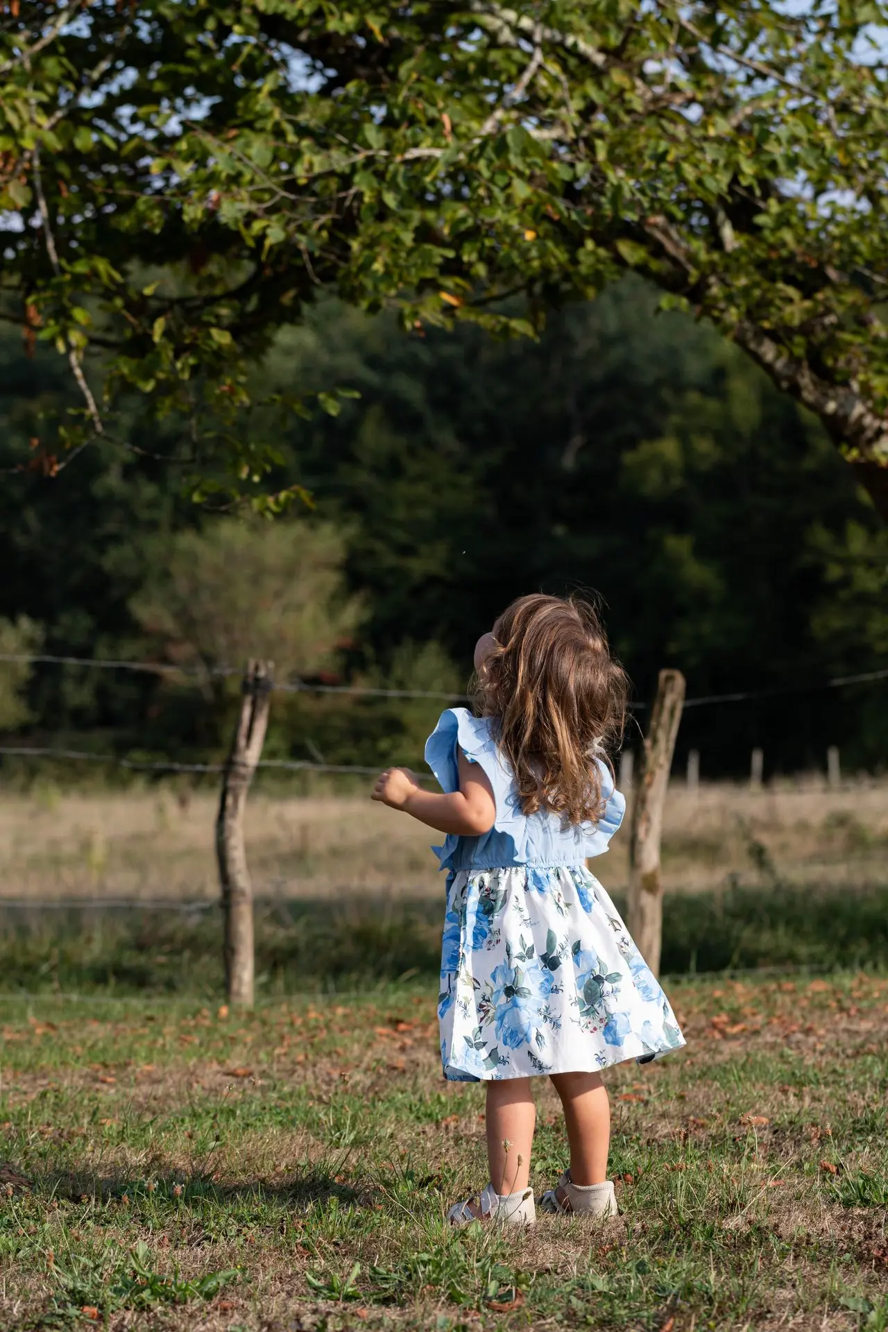 Portrait enfant en nature